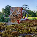 Bed & Breakfast Domaine Le Clos Du Figuier Grisolles 3*
