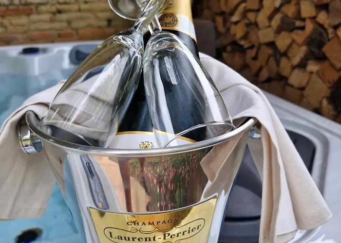 Domaine Le Clos Du Figuier Grisolles Bed & Breakfast 3*