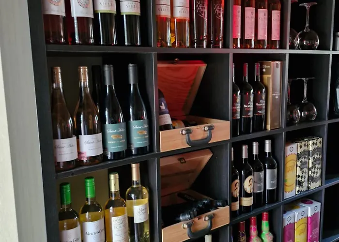 Bed & Breakfast Domaine Le Clos Du Figuier Grisolles