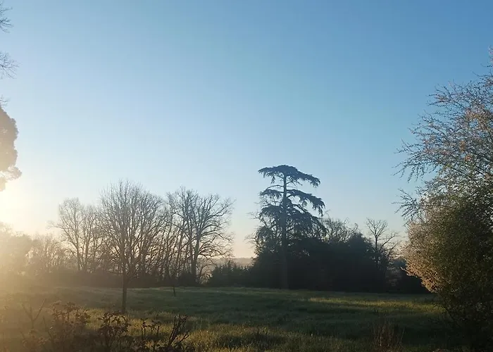 Domaine Le Clos Du Figuier Grisolles 3* Verdun-Sur-Garonne