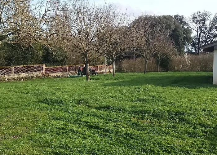 Bed & Breakfast Domaine Le Clos Du Figuier Grisolles 3*