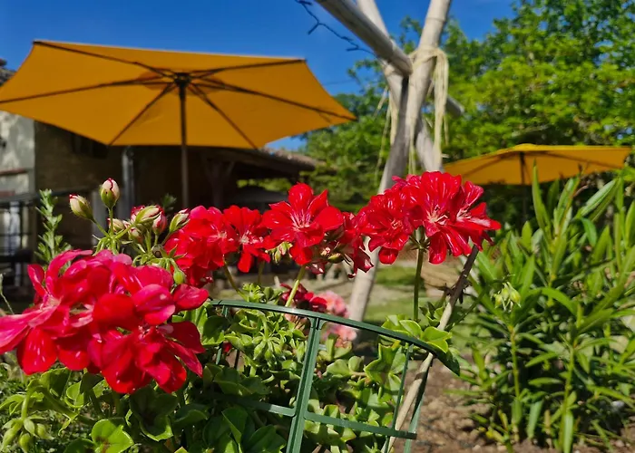 Domaine Le Clos Du Figuier Grisolles