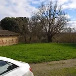 Domaine Le Clos Du Figuier Grisolles