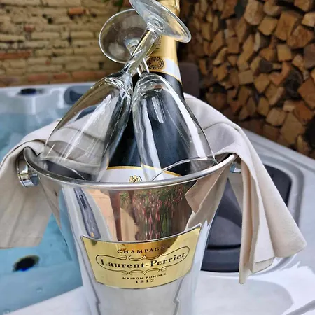 Domaine Le Clos Du Figuier Grisolles Bed & Breakfast *