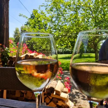 Domaine Le Clos Du Figuier Grisolles *