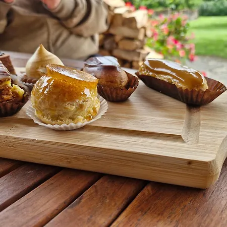 Domaine Le Clos Du Figuier Grisolles 3* Verdun-Sur-Garonne