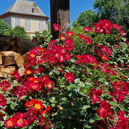 Bed & Breakfast Domaine Le Clos Du Figuier Grisolles 3*