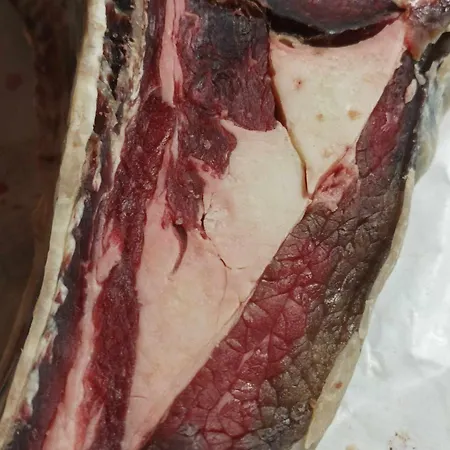 Domaine Le Clos Du Figuier Grisolles Bed & Breakfast Verdun-Sur-Garonne