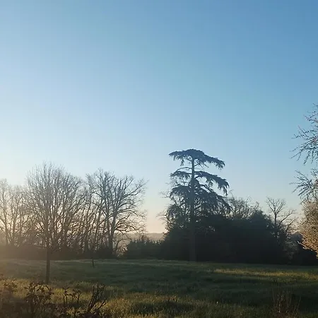 Domaine Le Clos Du Figuier Grisolles 3* Verdun-Sur-Garonne