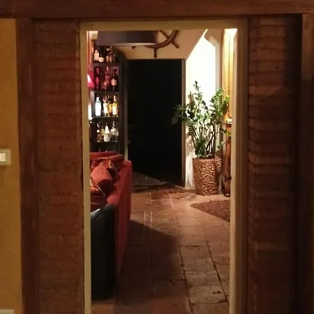 Bed & Breakfast Domaine Le Clos Du Figuier Grisolles *