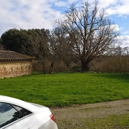 Domaine Le Clos Du Figuier Grisolles