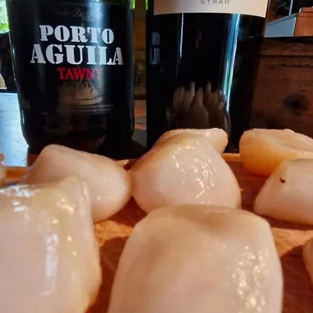 Bed & Breakfast Domaine Le Clos Du Figuier Grisolles 3*