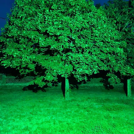 Bed & Breakfast Domaine Le Clos Du Figuier Grisolles 3*