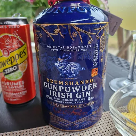 Domaine Le Clos Du Figuier Grisolles 3*