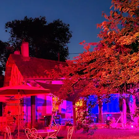 Domaine Le Clos Du Figuier Grisolles Bed & Breakfast