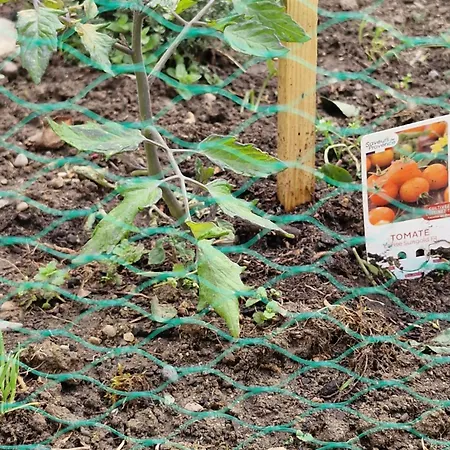 Domaine Le Clos Du Figuier Grisolles Verdun-Sur-Garonne