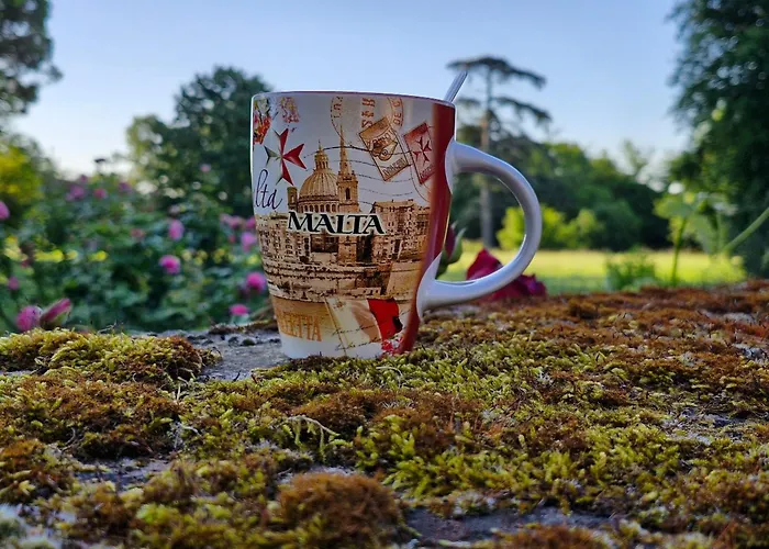 Bed and Breakfast Domaine Le Clos Du Figuier Grisolles 3*