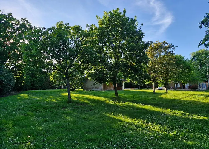 Domaine Le Clos Du Figuier Grisolles 3*