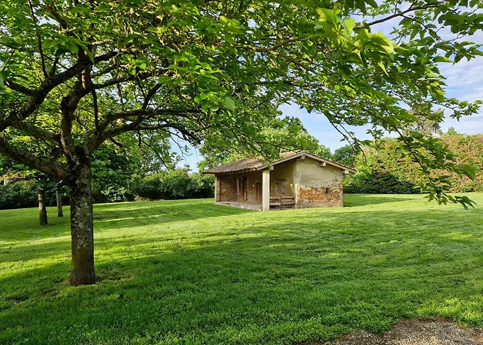 Domaine Le Clos Du Figuier Grisolles Bed and Breakfast