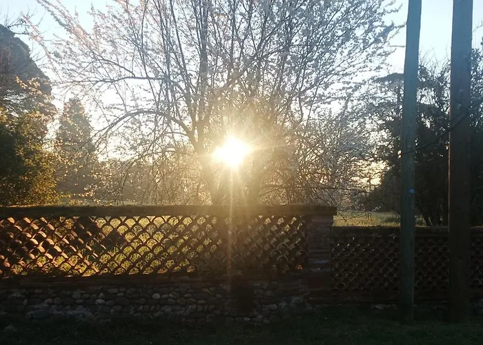 Domaine Le Clos Du Figuier Grisolles Bed and Breakfast 3*