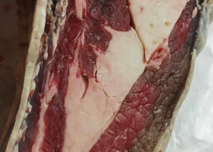 Domaine Le Clos Du Figuier Grisolles Bed and Breakfast Verdun-Sur-Garonne