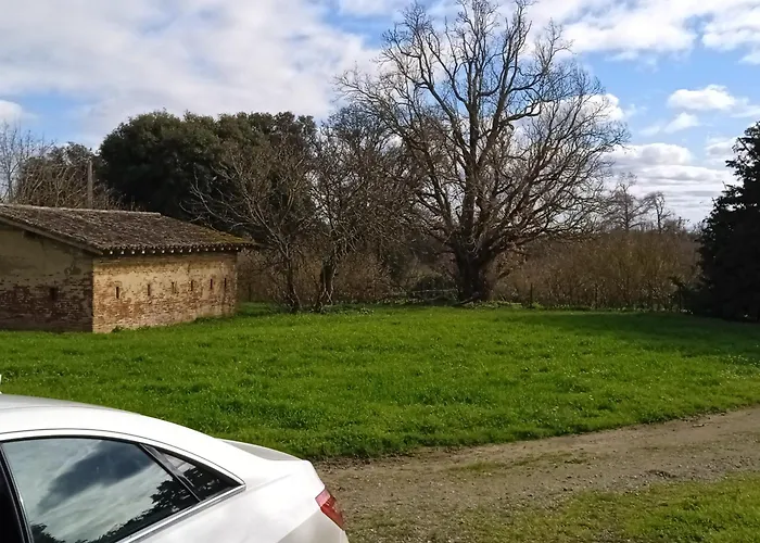 Domaine Le Clos Du Figuier Grisolles