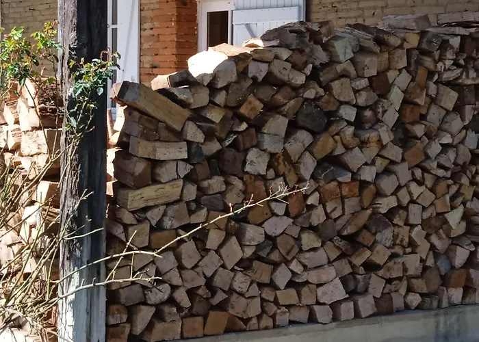 Domaine Le Clos Du Figuier Grisolles Bed and Breakfast