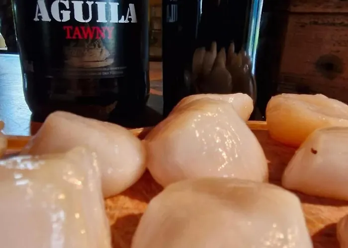 Bed and Breakfast Domaine Le Clos Du Figuier Grisolles 3*