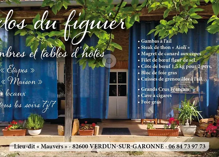 Bed and Breakfast Domaine Le Clos Du Figuier Grisolles 3*