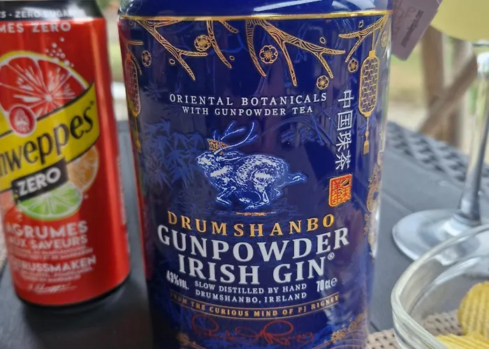 Domaine Le Clos Du Figuier Grisolles 3*