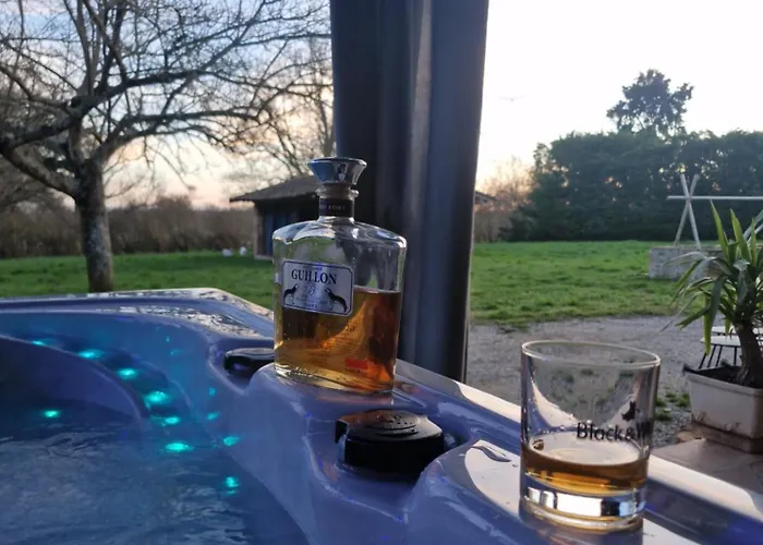 Domaine Le Clos Du Figuier Grisolles Отель типа 