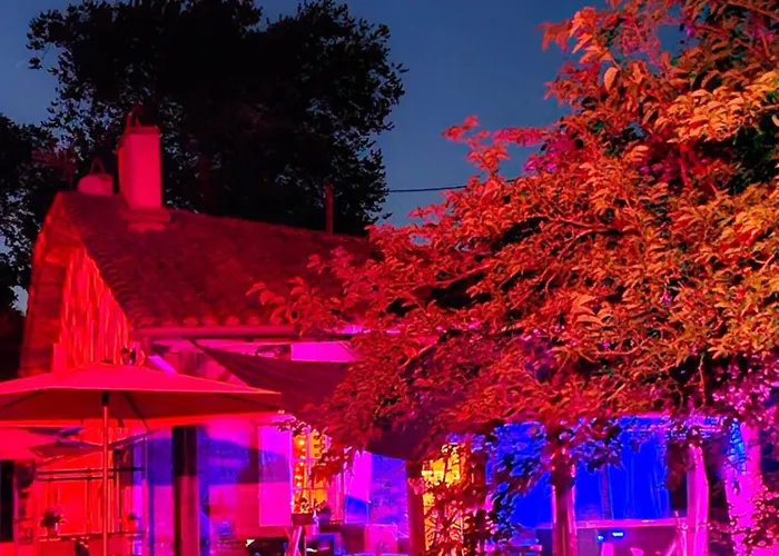 Domaine Le Clos Du Figuier Grisolles Bed and Breakfast